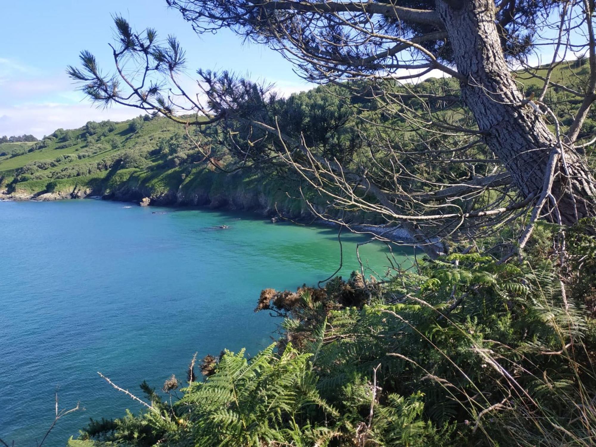 Maison Cosy Vue Mer A Guimaec Экстерьер фото